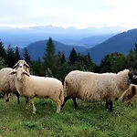 Am Berghof