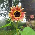 Апартаменты Am Berghof *