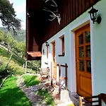 Апартаменты Am Berghof Поллинг