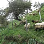 Am Berghof Поллинг