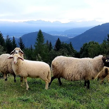 Am Berghof