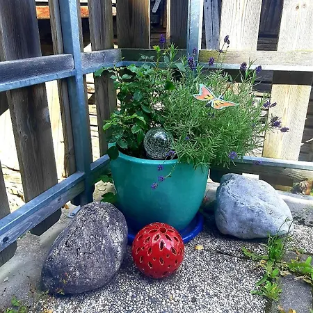 Am Berghof Apartman *