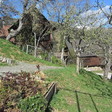 Apartment Berghof Familie Steinwender *