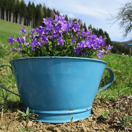 Daire Am Berghof Pölling