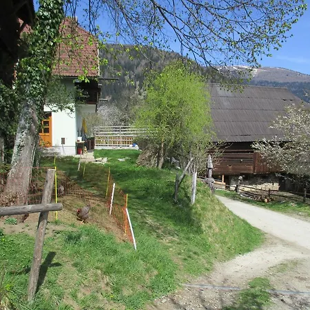 Apartment Berghof Familie Steinwender Polling (Villach-Land)