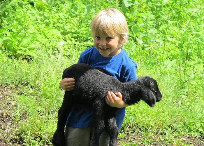 Apartment Am Berghof